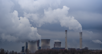 A tributação do mercado de carbono no Brasil